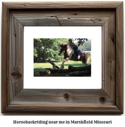 horseback riding near me in Marshfield, Missouri